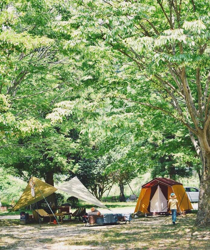 緑豊かなキャンプ場