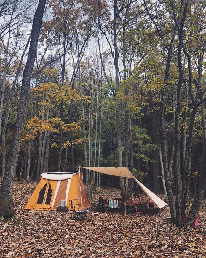 秋のキャンプ場