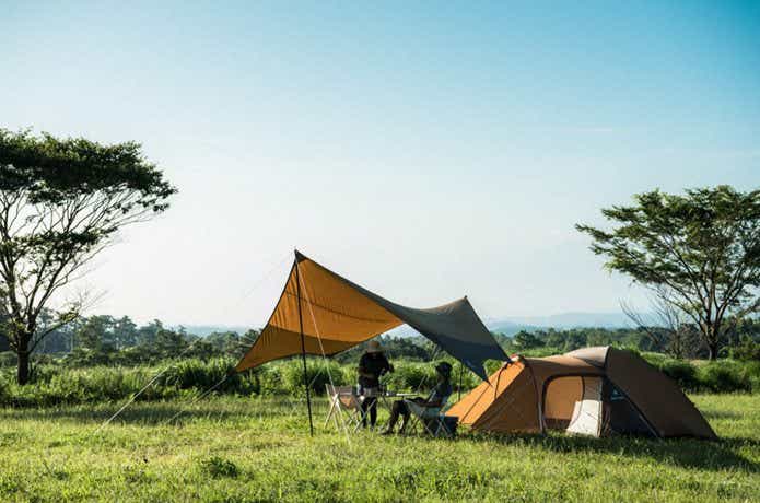 テントとタープが張られたキャンプ場