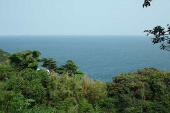 大島アドベンチャーキャビン　周りの景色画像