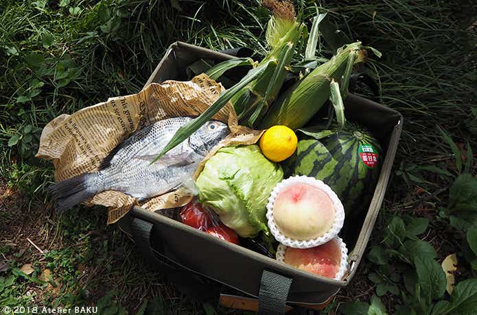 魚、果物、野菜の入った折りたたみバッグ