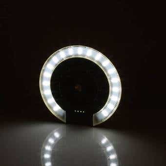 ダルトンのDouglas fan and light　LED