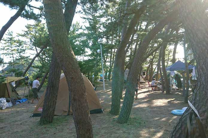 弁天浜キャンプ場