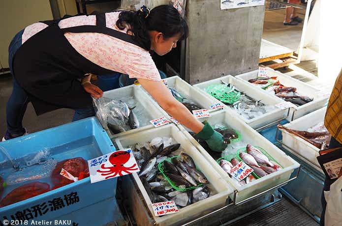 海風王国、定置網漁の魚の対面販売