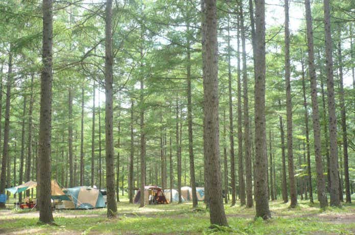 林間のキャンプ場
