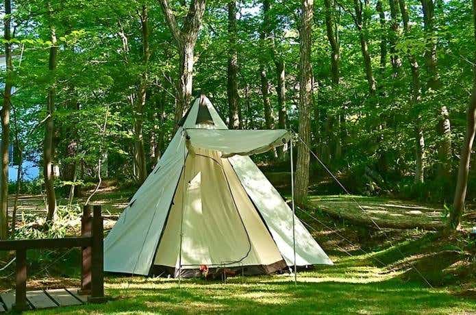 木陰でキャンプ