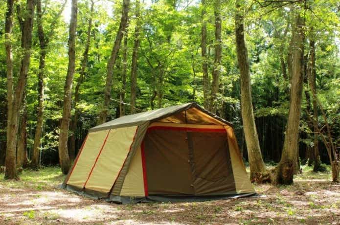 林サイトに建つロッジ型テント