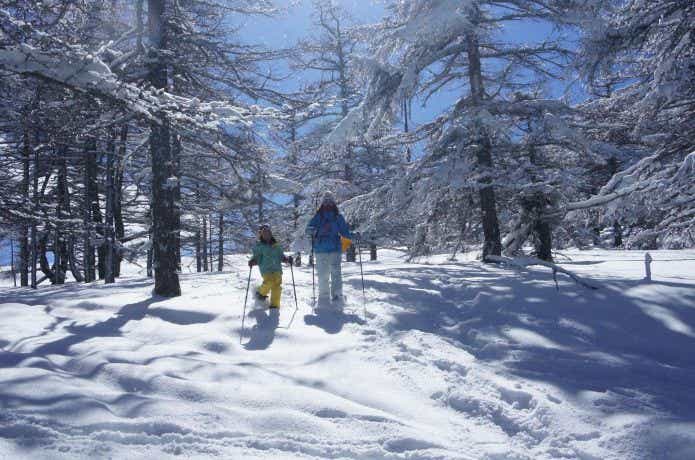 雪の中を歩く親子