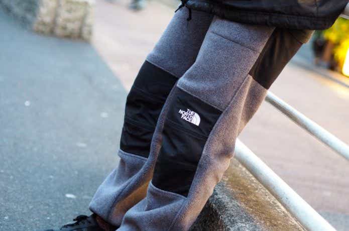 THE NORTH FACE デナリ スリップオンパンツ | www.hartwellspremium.com