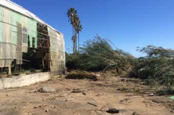 台風直撃後の白浜フラワーパーク 温室ドーム