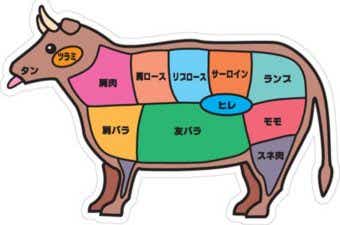 牛肉の各部位の図解