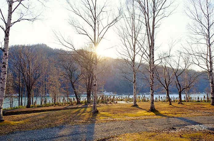岩尾内湖白樺キャンプ場