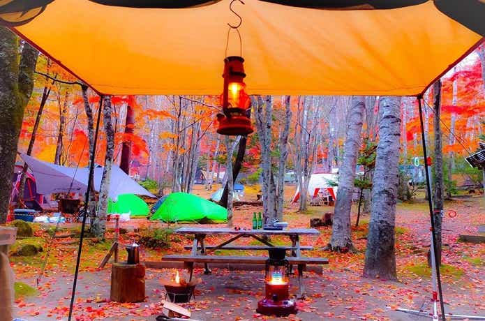 秋のキャンプサイト