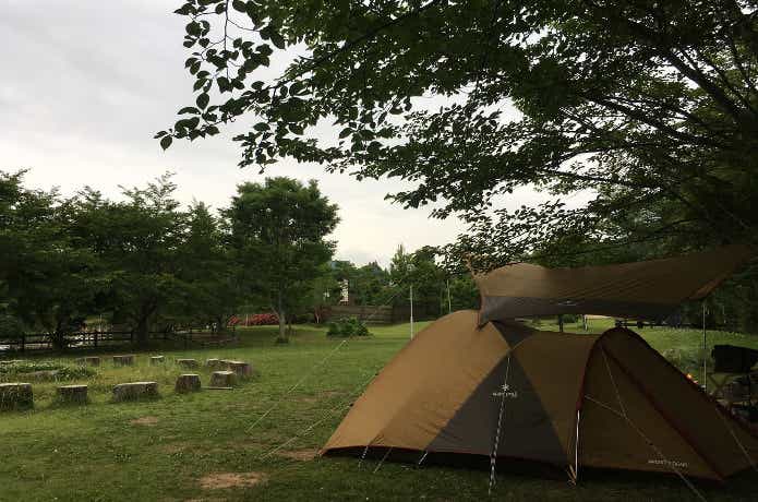 稲ヶ崎キャンプ場　テントサイト