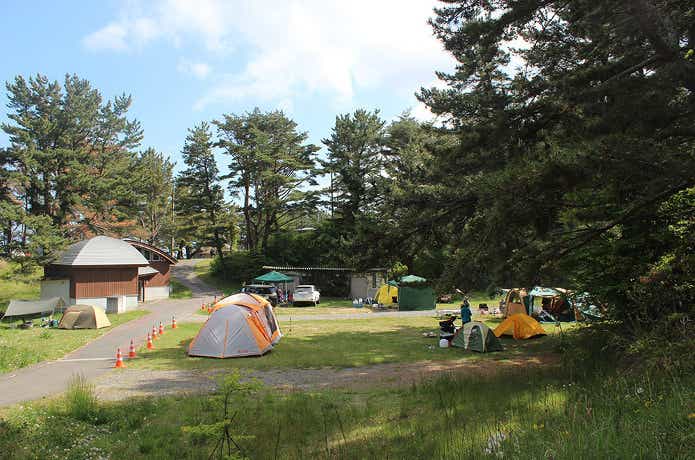 神割崎キャンプ場　テントサイト