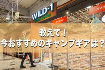 WILD-1