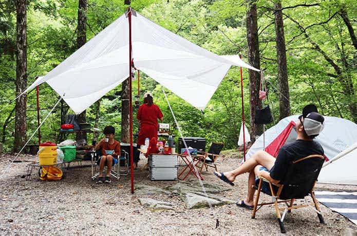 森の中でキャンプを楽しむ家族