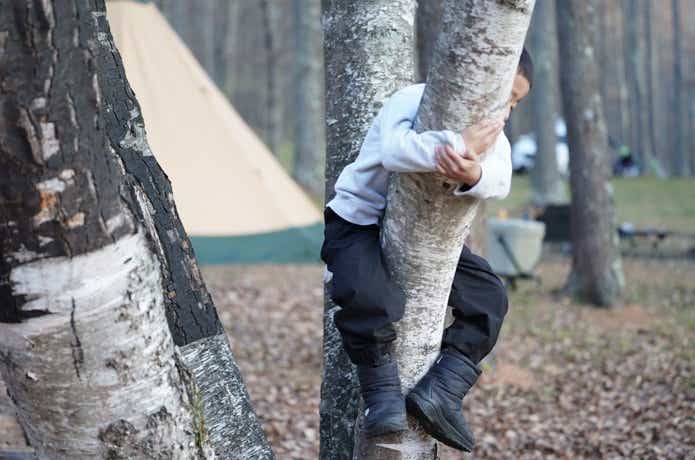 木登りをする男の子