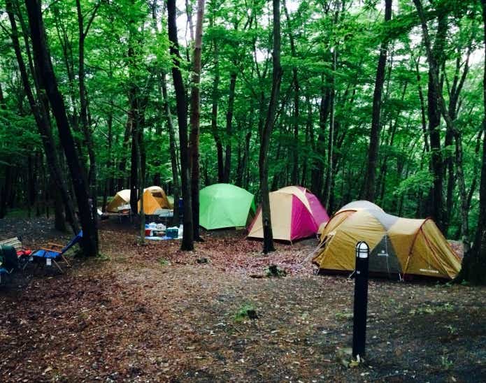 林間サイト　テント