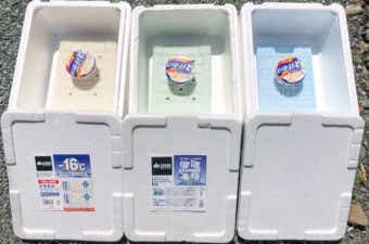 【検証】ロゴスの保冷剤は“冷凍庫レベル”！？アイスが溶けないって本当か試してみた