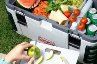 【さすがのコスパ！】コストコのクーラーボックスラインナップ｜おすすめモデル7選