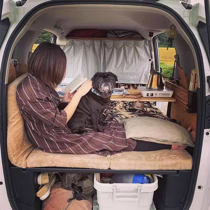 車内に座る女性と犬