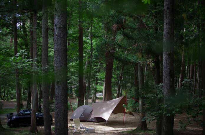 森の中にテントがある