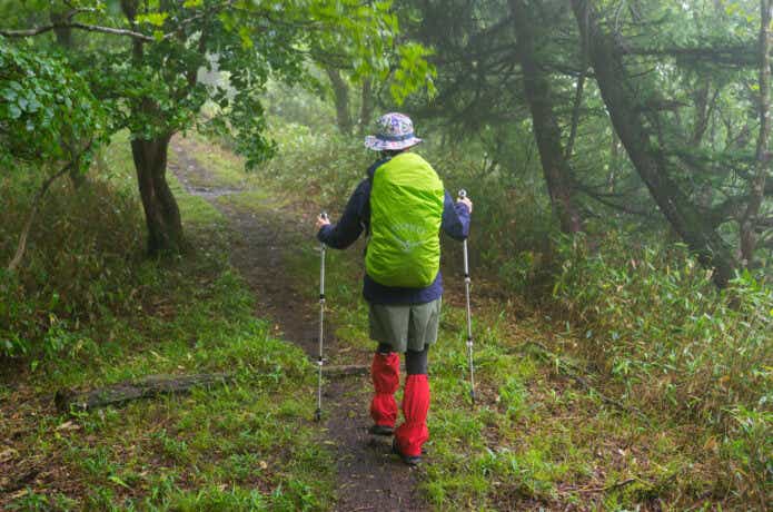 雨の登山道を歩く女性