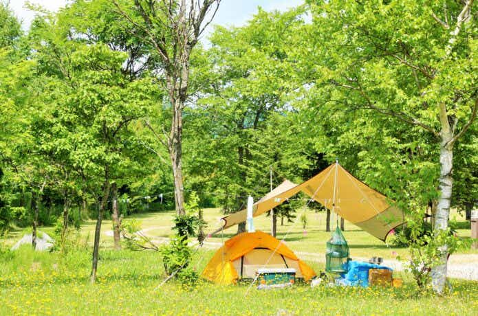 キャンプ場の中にタープとテントが設営されている様子