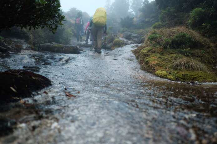 水浸しの登山道を歩く登山者