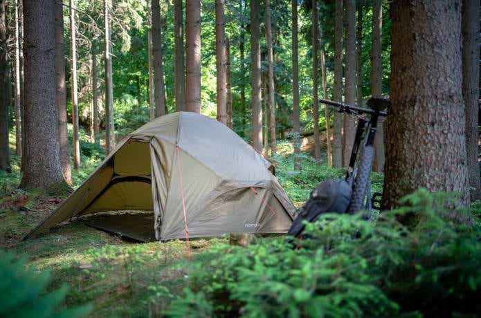 林間サイトに建ったテント