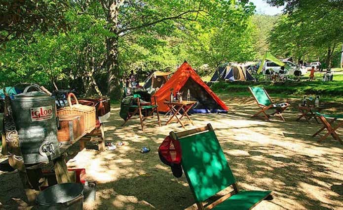自然の森ファミリーオートキャンプ場