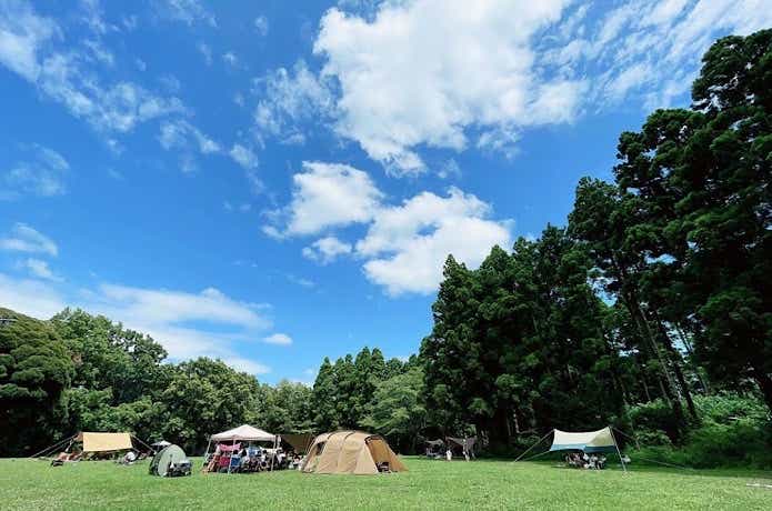 昭和の森フォレストビレッジキャンプサイト