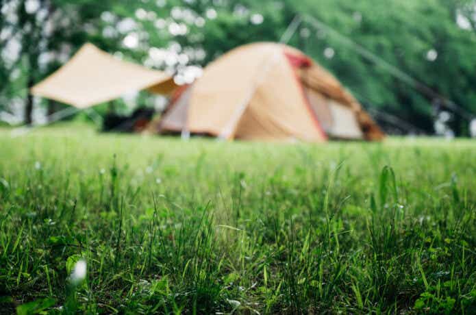 芝生のキャンプ場