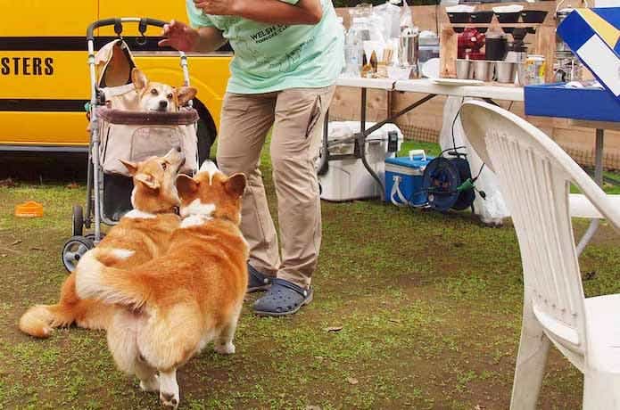 「ドッグキャンプ福寿」で愛犬とバーベキューをしている