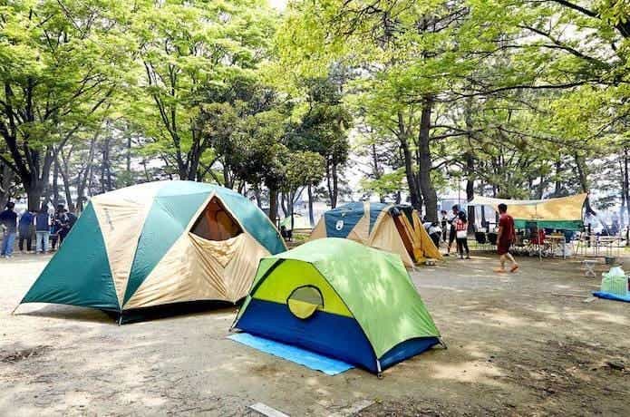 「野島公園 キャンプ場」にテントがいくつか張られている