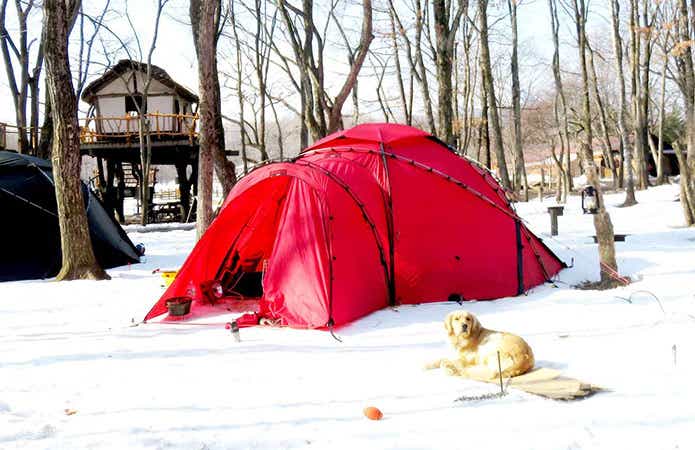 冬キャンプイメージ