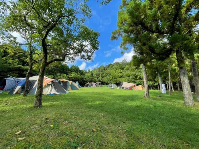 アスレチックで遊べるキャンプ場_TOMOSHIBI CAMP