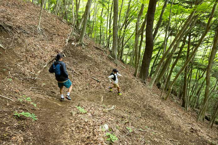 降りの登山道