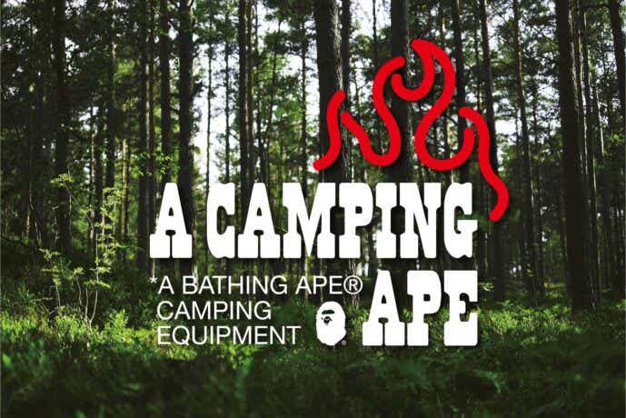 「A CAMPING APE」