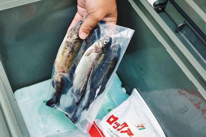 余った魚はジッパー付き袋で保存