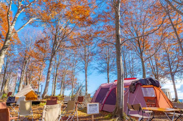 秋のキャンプ場と大型テント