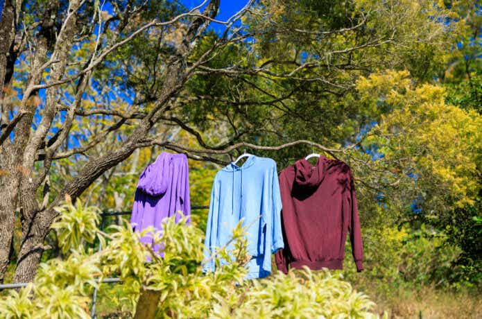 PIXTA：洗濯物をハンガーで木に干しているシーン