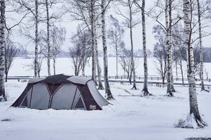 雪原でコールマンのツールーム型テント