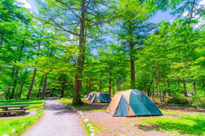 緑豊かなキャンプ場でテントを張る
