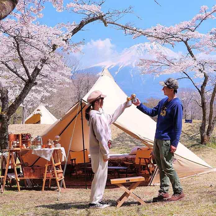 @kobocampさん投稿より田貫湖キャンプ場にて富士山バックのお花見キャンプシーン