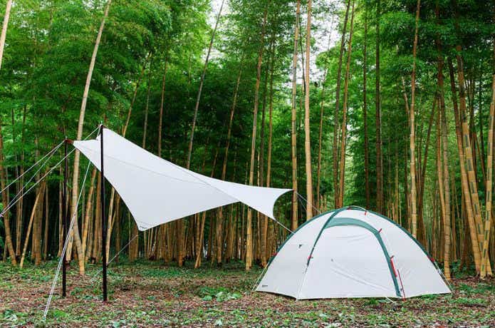 竹林でテンマクデザインマンタタープミニとテントを建ててキャンプ