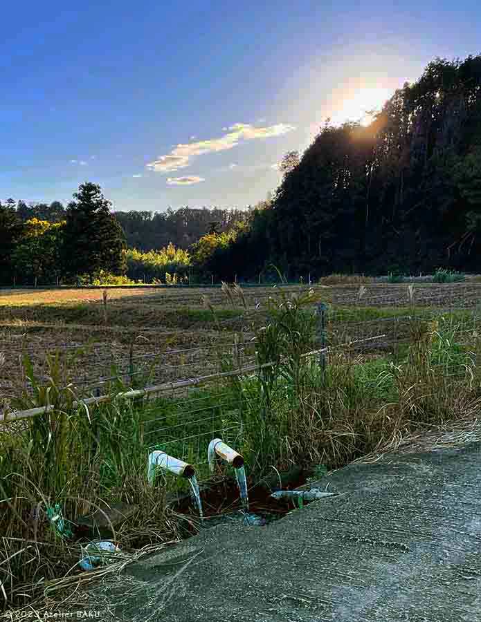 かずさオートキャンプ場の景色