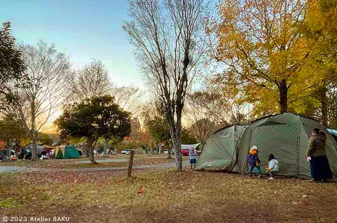 かずさオートキャンプ場の中央サイト