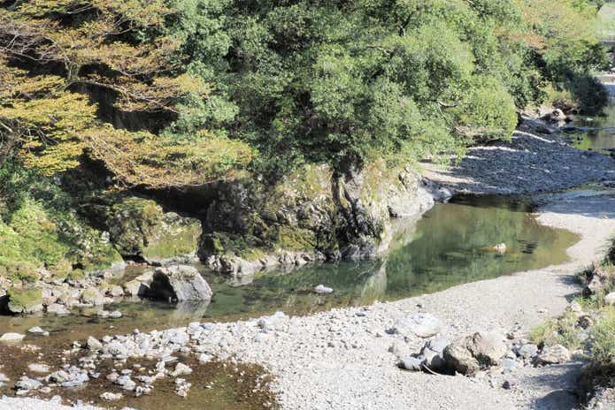 大見いこいの広場に流れる川